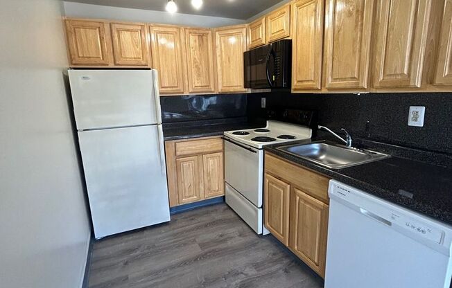 1 bed, 1 bath, $1,295, Unit 305