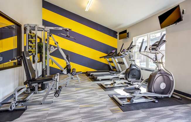 the gym at the flats at big tex apartments at The Hub at Baton Rouge, Baton Rouge