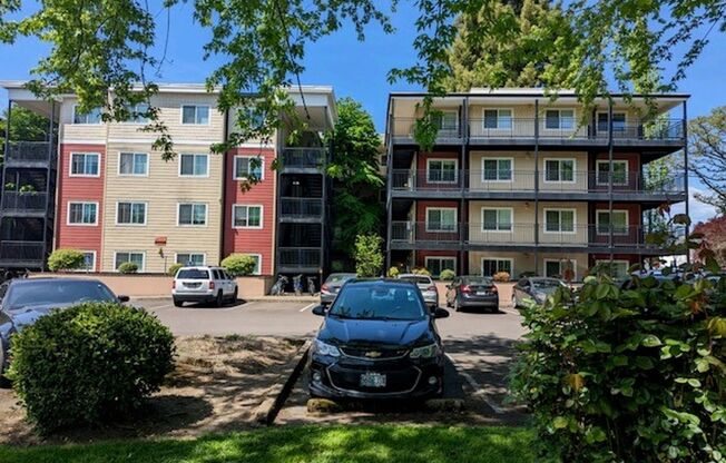 1 bed, 1 bath, 566 sqft, $1,377, Unit 137-211