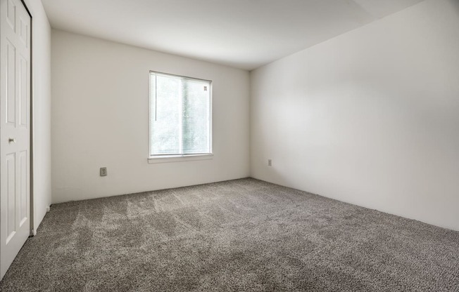 A room with a carpeted floor and a window