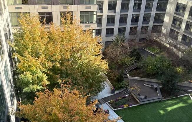 1 bed, 1 bath, 727 sqft, $5,318, Unit 808