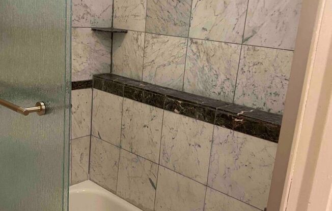 Studio, 1 bath, 300 sqft, $1,095, Unit 108