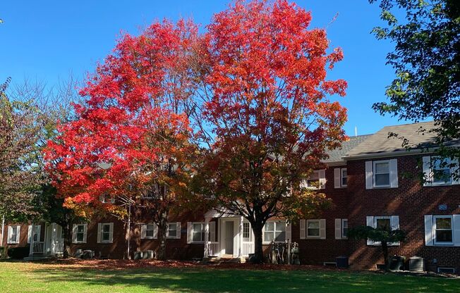 1 bed, 1 bath, $995, Unit 2657B