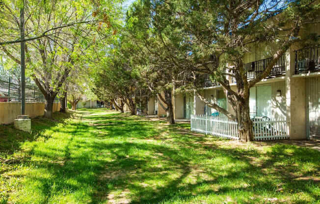 A tree-lined pathway leads to a building with balconies.