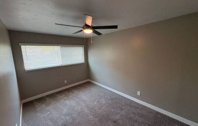 Pinewood Apartments