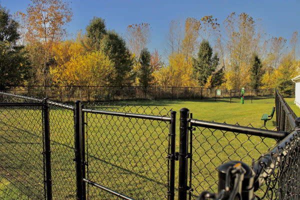 a field with a fence and trees in the background