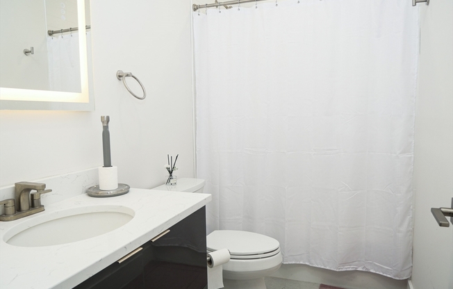 Studio, 1 bath, 450 sqft, $2,486, Unit 202