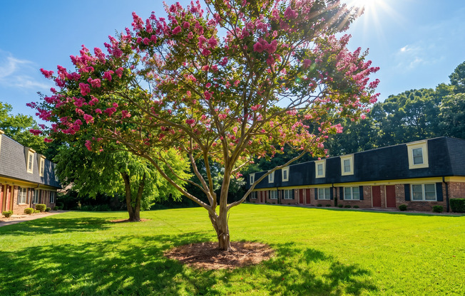 Country Club Apartments