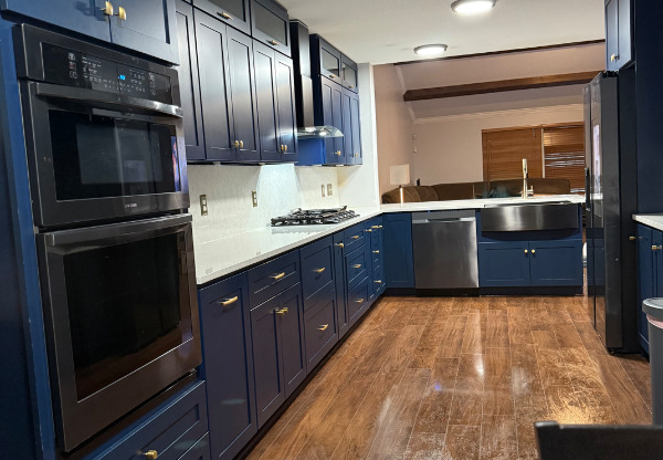 10911 DOVE PARK CT