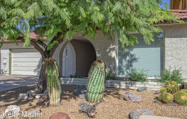 7842 E Mackenzie Dr