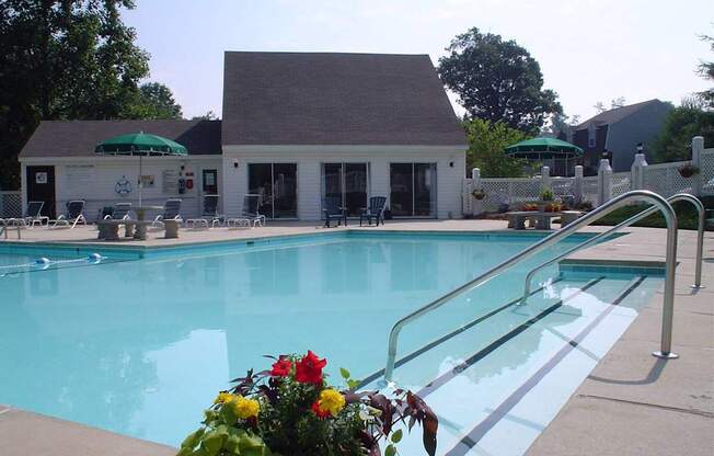 A pool with a building in the background and a potted plant in the foreground.