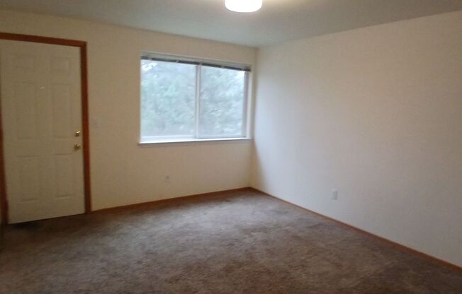 Studio, 1 bath, $1,400