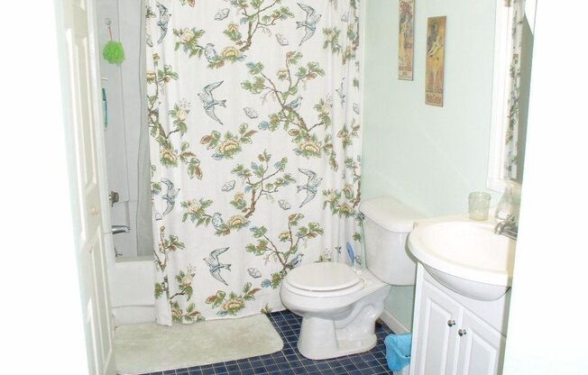 Carrboro / Brighton Sq. Apt. AVAILABLE