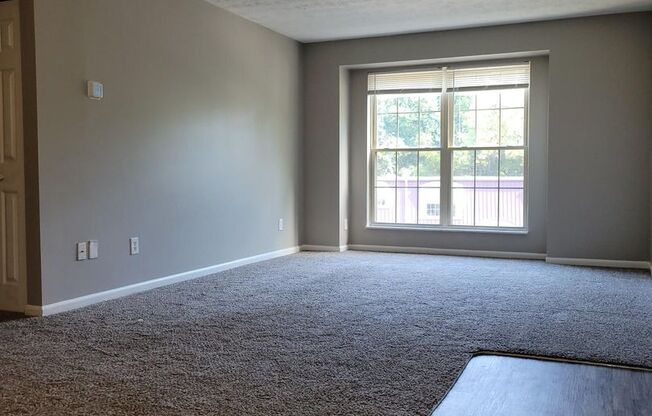 2 beds, 1 bath, 830 sqft, $1,090, Unit 75