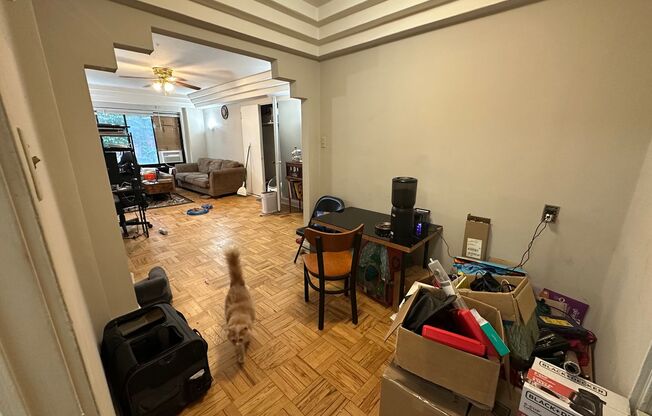 1 bed, 1 bath, $1,095, Unit 104