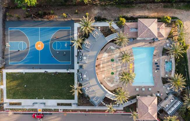 An aerial view of a basketball court surrounded by palm trees and a pool.