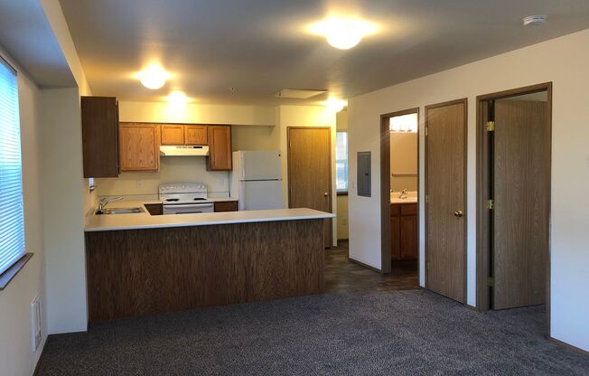 1 bed, 1 bath, 650 sqft, $1,300