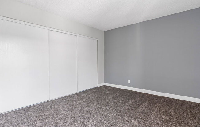 Carpeted bedroom with private closets and accent wall.