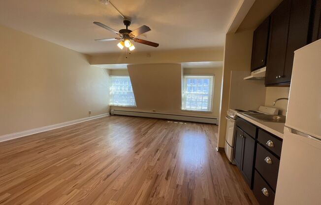 Studio, 1 bath, 370 sqft, $1,050, Unit A-38