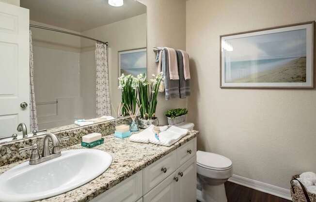 Bathroom with granite vanity, framed art and bright lighting