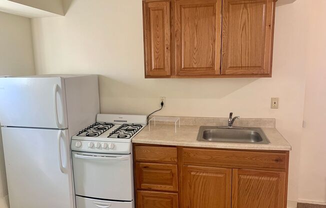 Studio, 1 bath, 300 sqft, $1,595