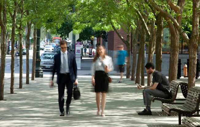 A man in a suit walks down a tree-lined sidewalk.