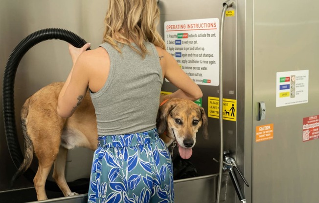 a woman is washing her dog in a machine at The Clearing at ONE28, Olathe