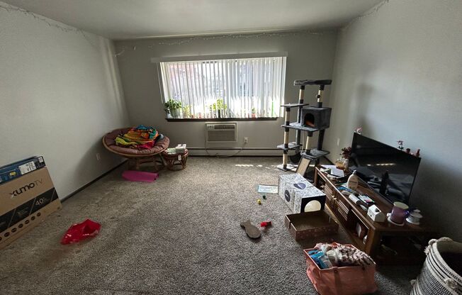 1 bed, 1 bath, $995, Unit 150