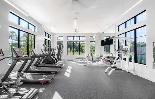 A gym with treadmills, elliptical machines, and a flat screen TV.
