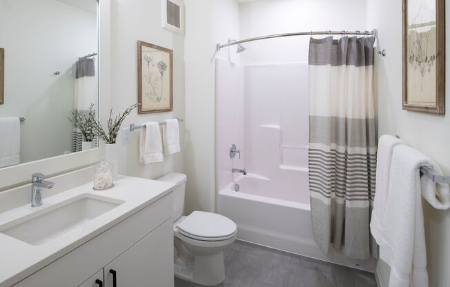 Studio, 1 bath, 411 sqft, $1,455, Unit 409