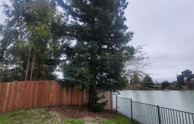 2 beds, 2 baths, 1,537 sqft, $3,250
