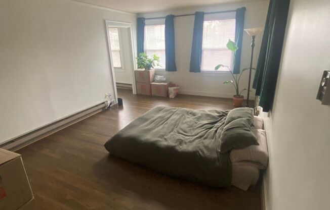 Studio, 1 bath, 520 sqft, $1,495, Unit 204