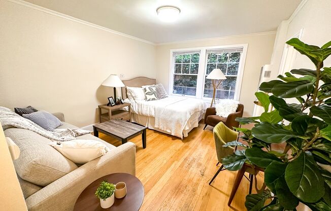 Studio, 1 bath, 365 sqft, $995, Unit 208