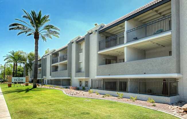 A modern apartment building with balconies and palm trees in the foreground.