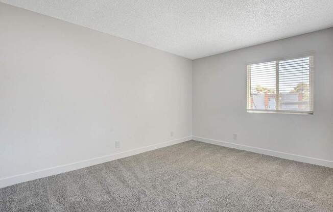 A room with a carpeted floor and a window with blinds.