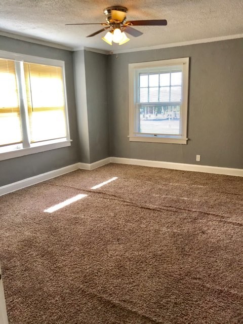 3 beds, 1 bath, $1,200