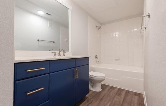 guest bathroom with blue cabinets