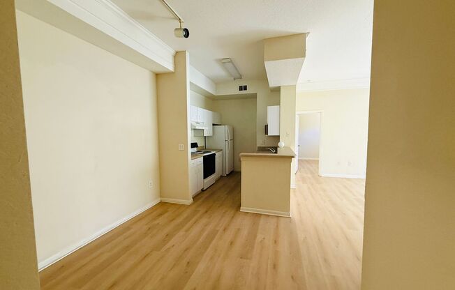 Beautiful Two Bedroom, Two Bath Condo For Rent in New Tampa!