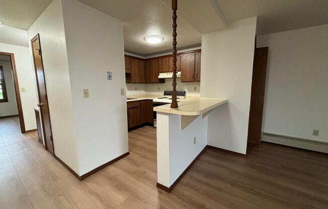 1 bed, 1 bath, 722 sqft, $870, Unit Apt. 13