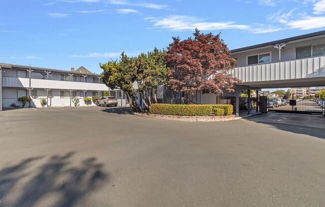 Buena Vista Apartments