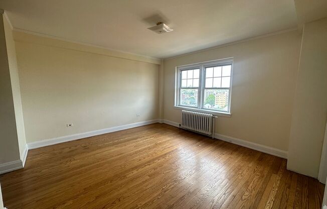 Studio, 1 bath, 301 sqft, $1,350, Unit Wellington 904