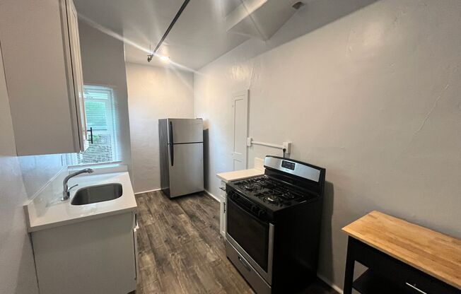 Studio, 1 bath, 425 sqft, $1,250, Unit 110