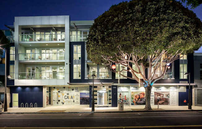 A tree stands in front of a building with a sign that reads