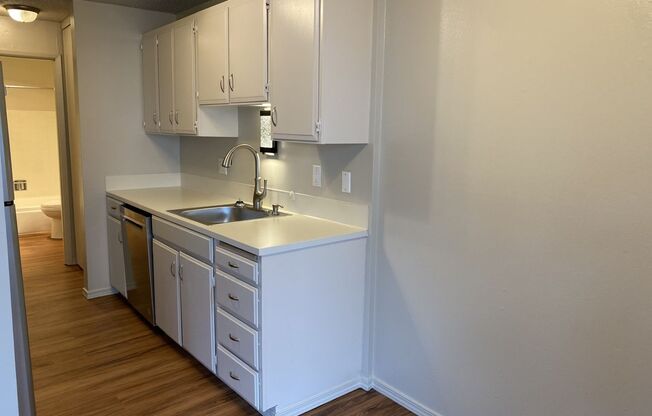 1 bed, 1 bath, 875 sqft, $1,555, Unit 3430-206