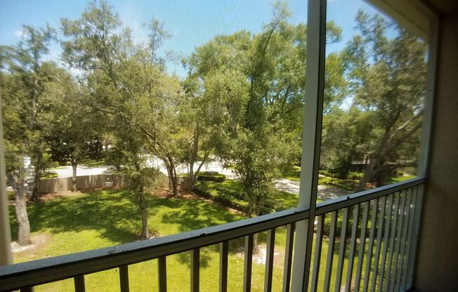 Beautiful 2/2 Relaxing Courtyard Balcony View @Altamonte Springs.