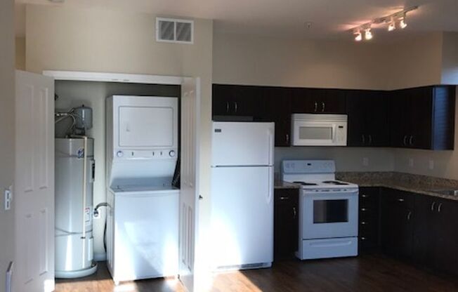 1 bed, 1 bath, 599 sqft, $1,440, Unit 1-111