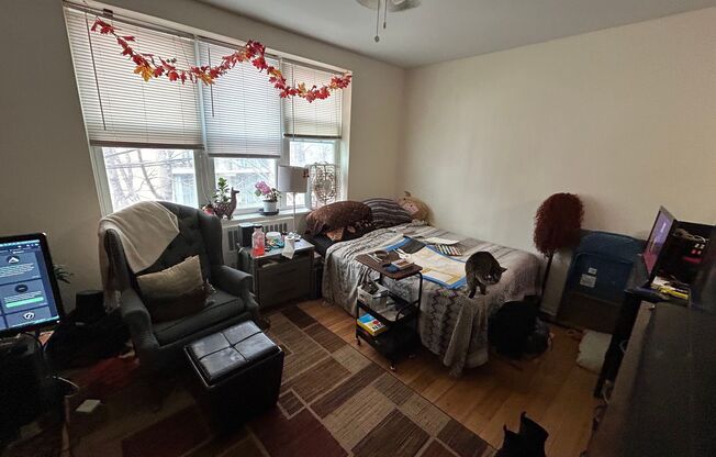Studio, 1 bath, $750, Unit 306