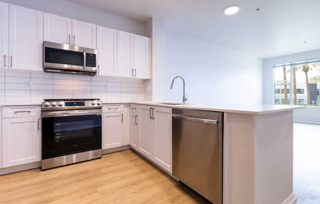 New Renovated Kitchen with Stainless Steel Appliances