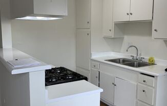 1 bed, 1 bath, 600 sqft, $1,895, Unit 7