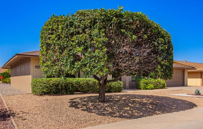 Beautifully updated 2 bed 2 bath in Sun City! TONs of amenities!!